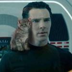 Benedict Cumberbatch Kitten