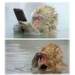4 seconds after sending that risky text - Monkey