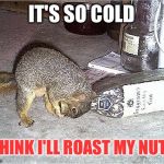 Desperate times call for desperate measures! | IT'S SO COLD; I THINK I'LL ROAST MY NUTS! | image tagged in frustrated squirrel,winter,winter storm,nuts | made w/ Imgflip meme maker