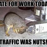 Frustrated Squirrel is Frustrated | LATE FOR WORK TODAY; TRAFFIC WAS NUTS! | image tagged in frustrated squirrel,nuts | made w/ Imgflip meme maker