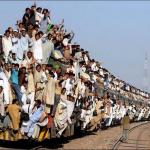 full train ppl