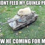 Guinea pig tank | I DIDNT FEED MY GUINEA PIG... NOW HE COMING FOR ME... | image tagged in guinea pig tank | made w/ Imgflip meme maker