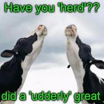 singing cows | Have you 'herd'?? You did a 'udderly' great job!! | image tagged in singing cows | made w/ Imgflip meme maker