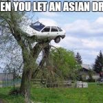 car in tree | WHEN YOU LET AN ASIAN DRIVE | image tagged in car in tree | made w/ Imgflip meme maker