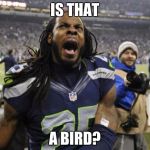 Seahawks Richard Sherman | IS THAT; A BIRD? | image tagged in seahawks richard sherman | made w/ Imgflip meme maker