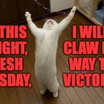 Happy Tuesday! | I WILL CLAW MY WAY TO VICTORY! ON THIS BRIGHT, FRESH TUESDAY, | image tagged in victory cat,memes,tuesday,cats | made w/ Imgflip meme maker