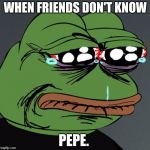 Sad Pepe Frog | WHEN FRIENDS DON'T KNOW; PEPE. | image tagged in sad pepe frog | made w/ Imgflip meme maker
