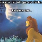 Lion King Mufasa in the sky | Re-meme-ber who you are Simba... Re-meme-ber... | image tagged in lion king mufasa in the sky | made w/ Imgflip meme maker