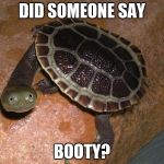 turtle meme | DID SOMEONE SAY; BOOTY? | image tagged in turtle meme | made w/ Imgflip meme maker