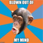 Monkey | BLOWN OUT OF; MY MIND | image tagged in monkey | made w/ Imgflip meme maker