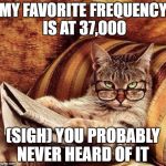 Reading Cat with Glasses | MY FAVORITE FREQUENCY IS AT 37,000; (SIGH) YOU PROBABLY NEVER HEARD OF IT | image tagged in reading cat with glasses | made w/ Imgflip meme maker