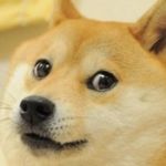 Doge Game | WOW MUCH RESSURECTION I JUST WANTED TO DIE | image tagged in doge game | made w/ Imgflip meme maker