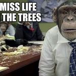Office monkeys | I MISS LIFE IN THE TREES | image tagged in office monkeys | made w/ Imgflip meme maker