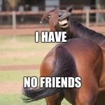 funny horse | I HAVE; NO FRIENDS | image tagged in funny horse | made w/ Imgflip meme maker