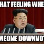 what? | THAT FEELING WHEN; SOMEONE DOWNVOTES | image tagged in what | made w/ Imgflip meme maker