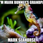 colorful seahorse | I'M MARK BUNNEY'S GRANDPA; MARK SEAHORSE | image tagged in colorful seahorse | made w/ Imgflip meme maker