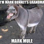 Drug Mule | I'M MARK BUNNEY'S GRANDMA; MARK MULE | image tagged in drug mule | made w/ Imgflip meme maker