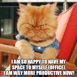 Garfi The Angry Cat | I AM SO HAPPY TO HAVE MY SPACE TO MYSELF (OFFICE). I AM WAY MORE PRODUCTIVE NOW! | image tagged in garfi the angry cat | made w/ Imgflip meme maker