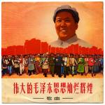 China utopia