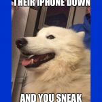 Sneaky Doggo | WHEN YOUR HUMAN PUTS THEIR IPHONE DOWN; AND YOU SNEAK A SELFIE | image tagged in sneaky doggo | made w/ Imgflip meme maker