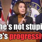 In defense of the Honorable Ms. Waters, Ms. Pelosi states the obvious. "Progressive" & "stupid" are not necessarily synonymous. | She's not stupid, She's progressive ! progressive | image tagged in pelosi explains,maxine waters,progressive,stupid,special kind of stupid,congress | made w/ Imgflip meme maker
