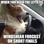Surprised Driving Dog | WHEN YOU HEAR THE LCY ATIS; WINDSHEAR FORCAST ON SHORT FINALS | image tagged in surprised driving dog | made w/ Imgflip meme maker