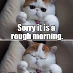 I need hugs cat | Sorry it is a rough morning. Virtual kitty hug. | image tagged in i need hugs cat | made w/ Imgflip meme maker