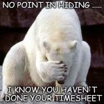 Timesheet Shame | NO POINT IN HIDING ..... I KNOW YOU HAVEN'T DONE YOUR TIMESHEET | image tagged in shame,timeheet meme,bear meme,hiding meme,timesheet reminder,meme | made w/ Imgflip meme maker
