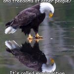 Reflecting Freedom | In a Nation that is supposedly free, why are some attacking the rights and freedoms of other people? It's called manipulation. Don't fall for the divide and conquer tactics of the elite. | image tagged in existential patriotic eagle | made w/ Imgflip meme maker