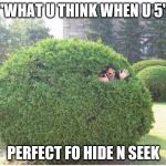 Bush Man | "WHAT U THINK WHEN U 5"; PERFECT FO HIDE N SEEK | image tagged in bush man | made w/ Imgflip meme maker