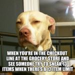 Suspicious Dog | WHEN YOU'RE IN THE CHECKOUT LINE AT THE GROCERY STORE AND SEE SOMEONE TRY TO SNEAK 13 ITEMS WHEN THERE'S A 12 ITEM LIMIT | image tagged in suspicious dog | made w/ Imgflip meme maker