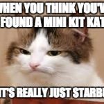 Disappointed Cat | WHEN YOU THINK YOU'VE FOUND A MINI KIT KAT; BUT IT'S REALLY JUST STARBURTS | image tagged in disappointed cat | made w/ Imgflip meme maker