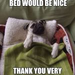 Wake Up Pug | BREAKFAST IN BED WOULD BE NICE; THANK YOU VERY MUCH LOYAL HUMAN | image tagged in wake up pug | made w/ Imgflip meme maker