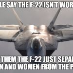 F-22 Raptor | PEOPLE SAY THE F-22 ISN'T WORTH IT. I TELL THEM THE F-22 JUST SEPARATES THE MEN AND WOMEN FROM THE PANSIES. | image tagged in f-22 raptor | made w/ Imgflip meme maker