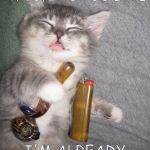 weed cat | IF YOU ARE READING THIS, IT'S TOO LATE; I'M ALREADY HIGH A. F. | image tagged in weed cat,high a f | made w/ Imgflip meme maker