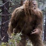 Sasquatch Beef Jerky | SASQUATCH GAVE HIS BEEF JERKY; TO CHUCK NORRIS | image tagged in sasquatch,beef jerky,chuck norris | made w/ Imgflip meme maker