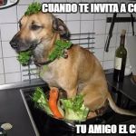 tu amigo el chino | CUANDO TE INVITA A COMER; TU AMIGO EL CHINO | image tagged in perro,comida,chino | made w/ Imgflip meme maker