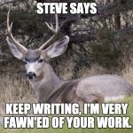 Steve Says | STEVE SAYS; KEEP WRITING, I'M VERY FAWN'ED OF YOUR WORK. | image tagged in steve says | made w/ Imgflip meme maker