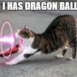 Kamehameha Cat | CAN I HAS DRAGON BALL PLZ | image tagged in kamehameha cat | made w/ Imgflip meme maker
