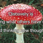 Discovery | Discovery is; Seeing what others have seen; And thinking new thoughts. | image tagged in discovery | made w/ Imgflip meme maker