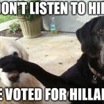 Dogs | DON'T LISTEN TO HIM; HE VOTED FOR HILLARY | image tagged in dogs | made w/ Imgflip meme maker