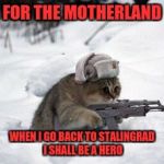 russian cat | FOR THE MOTHERLAND; WHEN I GO BACK TO STALINGRAD I SHALL BE A HERO | image tagged in russian cat | made w/ Imgflip meme maker