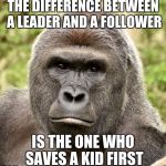Harambe | THE DIFFERENCE BETWEEN A LEADER AND A FOLLOWER; IS THE ONE WHO SAVES A KID FIRST | image tagged in harambe | made w/ Imgflip meme maker