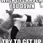 Kangaroo knockout  | WHEN LIFE KNOCK YOU DOWN; TRY TO GET UP | image tagged in kangaroo knockout | made w/ Imgflip meme maker