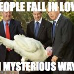 Turkey Gobbles Bush  | PEOPLE FALL IN LOVE; IN MYSTERIOUS WAYS | image tagged in turkey gobbles bush | made w/ Imgflip meme maker