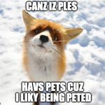 What Does The Fox Say? | CANZ IZ PLES; HAVS PETS CUZ I LIKY BEING PETED | image tagged in what does the fox say | made w/ Imgflip meme maker