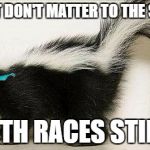 Cool Skunk | SEE...IT DON'T MATTER TO THE SKUNK; BOTH RACES STINK | image tagged in cool skunk | made w/ Imgflip meme maker