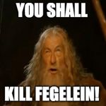 You Shall Not Pass Gandalf | YOU SHALL; KILL FEGELEIN! | image tagged in you shall not pass gandalf | made w/ Imgflip meme maker