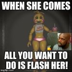 OH DAMMM | WHEN SHE COMES; ALL YOU WANT TO DO IS FLASH HER! | image tagged in toy chica | made w/ Imgflip meme maker