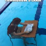 Pool studying | STUDYING FOR TOMMOROW'S EXAM; BE LIKE | image tagged in pool studying | made w/ Imgflip meme maker